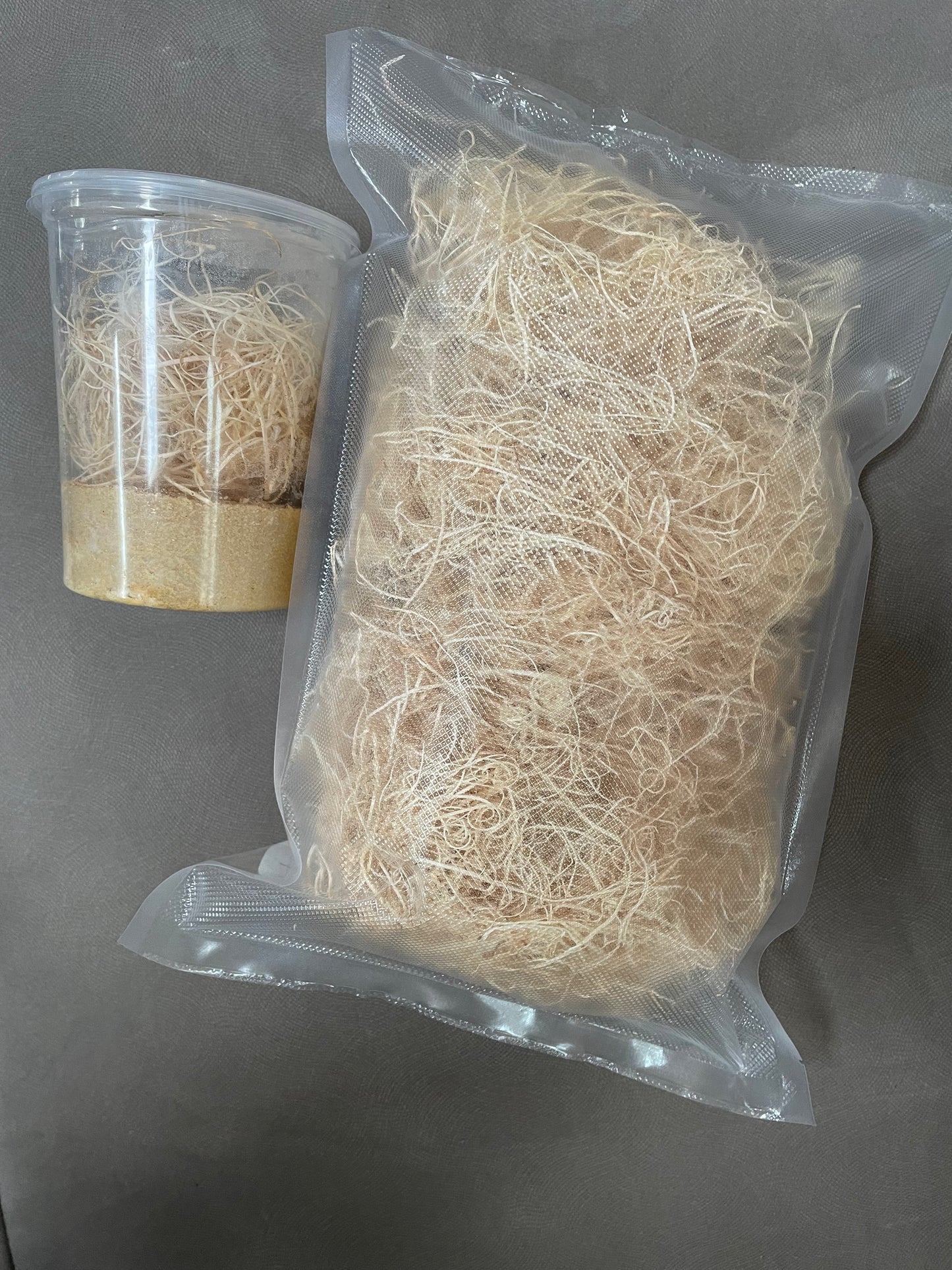 Premium Wood Excelsior for Fruit Fly Cultures – Natural Wood Wool (1 Gallon Bag)