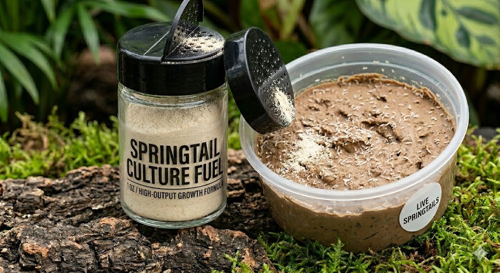 Springtail Food - High-Protein Growth Formula (1 oz Sifter Jar)
