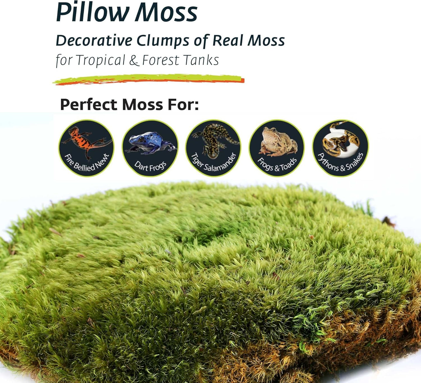 Galápagos Pillow Moss 4QT