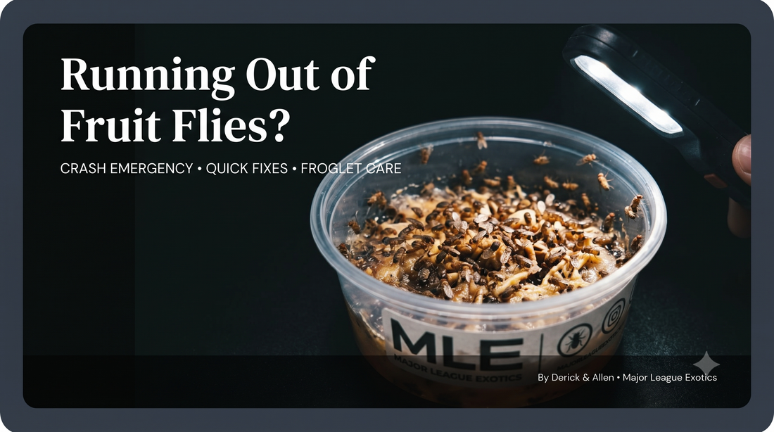 Running Out of Fruit Flies: What to Do When You’re in a Jam