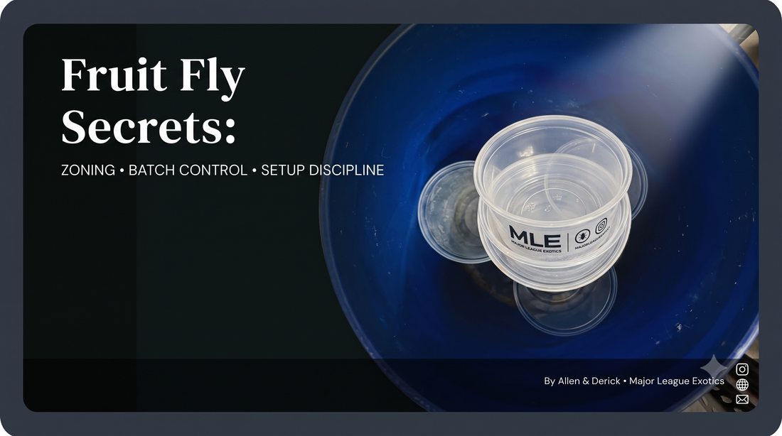 Fruit Fly Secrets: How We Produce Booming Cultures