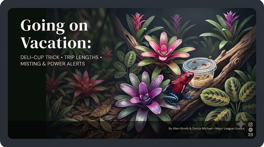 Going on Vacation: How to Keep Your Dart Frogs Fed