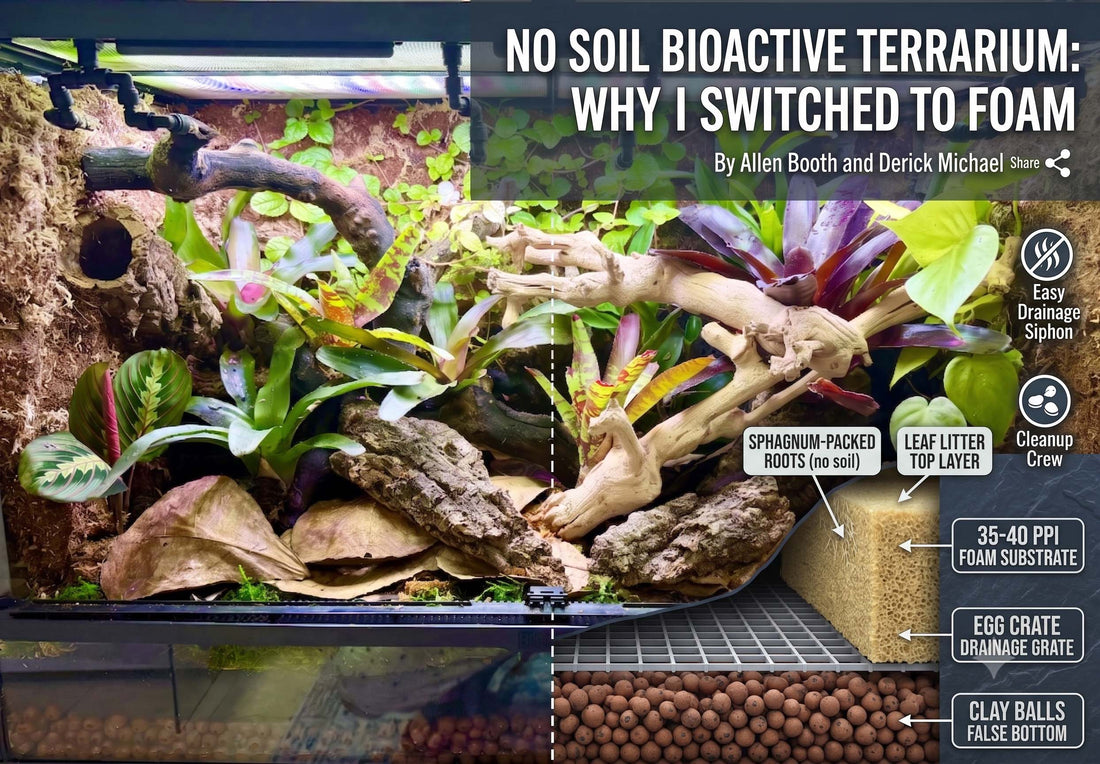 No Soil Bioactive Terrarium: Why I Switched to Foam