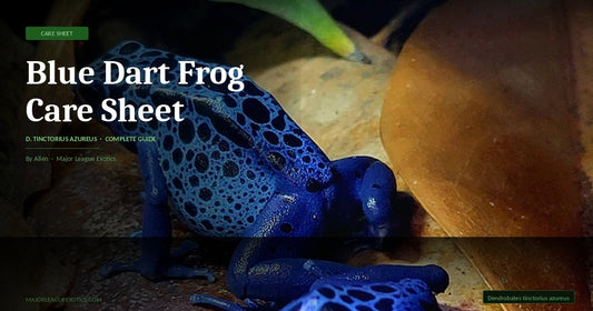 Blue Dart Frog Care Sheet (D. tinctorius azureus)