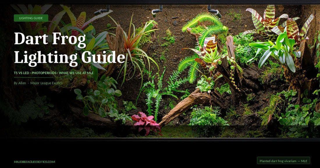 Terrarium 