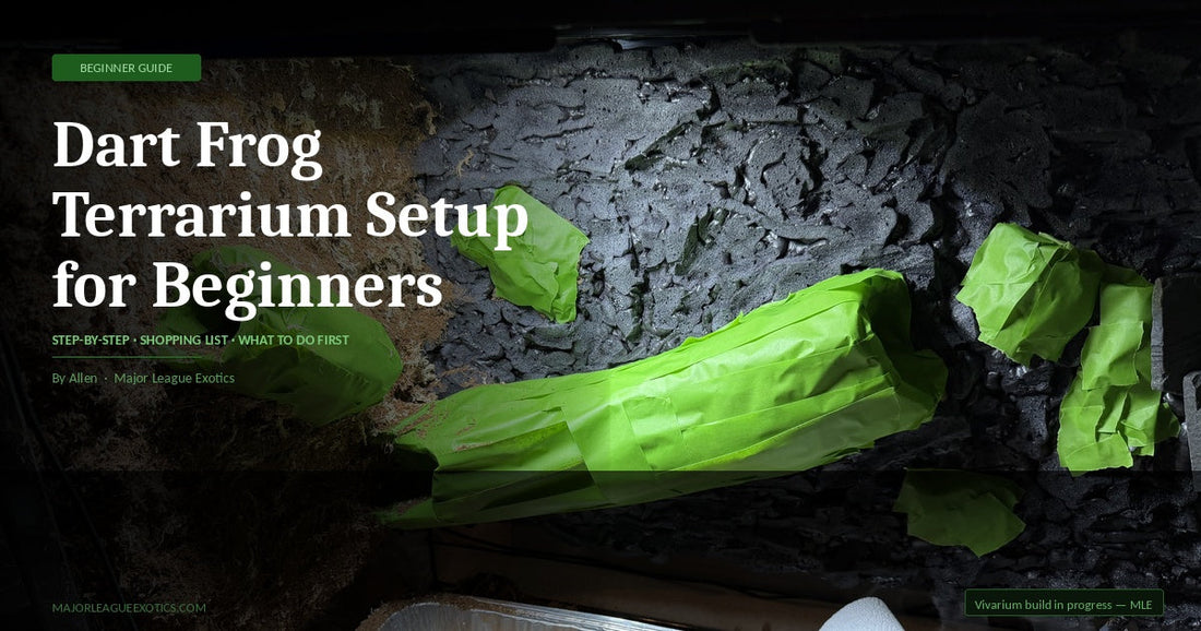 Dart Frog Terrarium Setup for Beginners