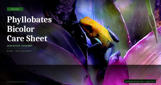 Phyllobates Bicolor Care Sheet