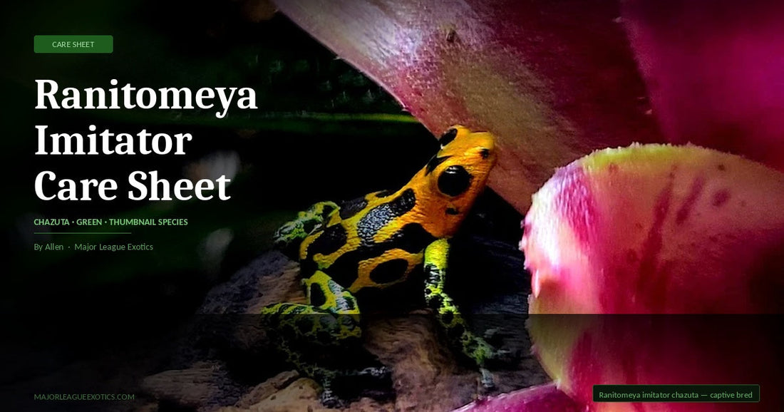 Ranitomeya Imitator Care Sheet