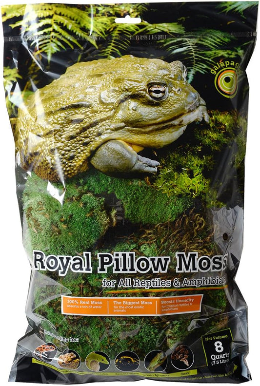 Galapagos Royal Pillow Moss 8QT