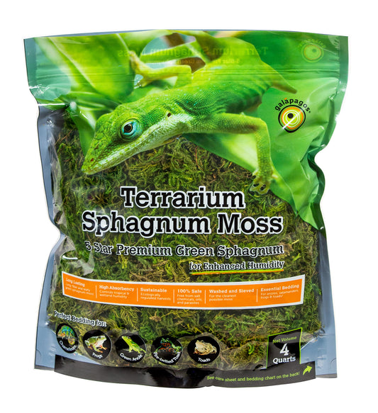 Galápagos Green Sphagnum Moss – 4QT Resealable Bag