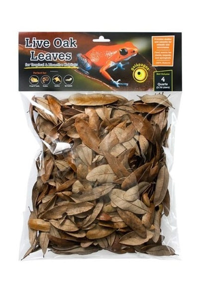 Live Oak Leaf Litter 4QT