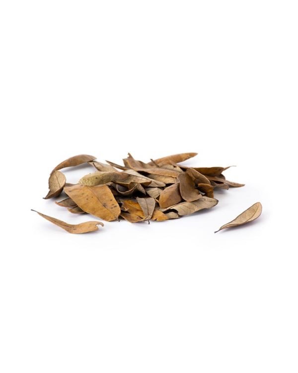 Live Oak Leaf Litter 4QT