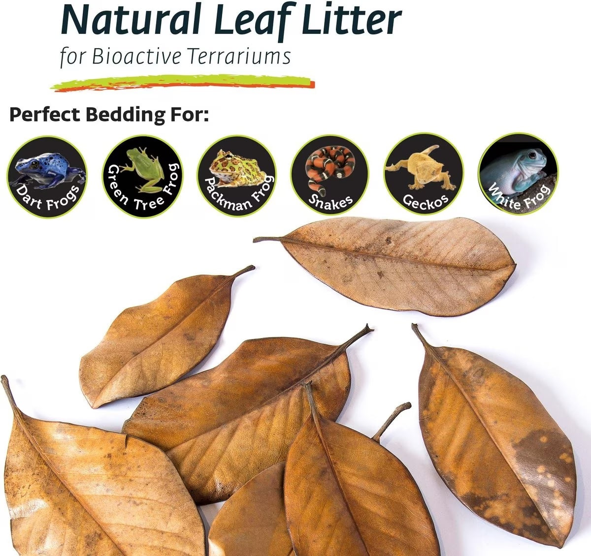 Magnolia Leaf Litter 4QT