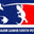 Major League Exotics logo