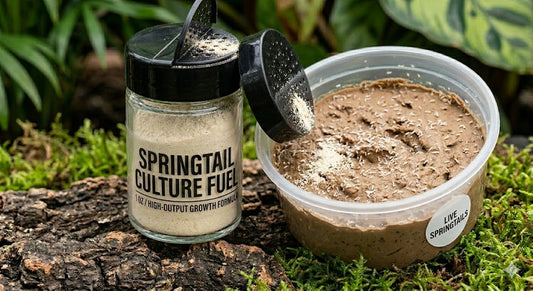 Springtail Food - High-Protein Growth Formula (1 oz Sifter Jar)