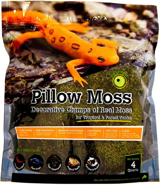 Galápagos Pillow Moss 4QT