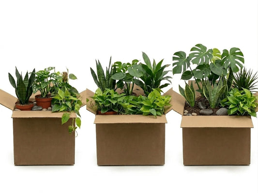 Serpent Scape Plant Package – For Ball Pythons, Corn Snakes, & Heavy-Bodied Reptiles